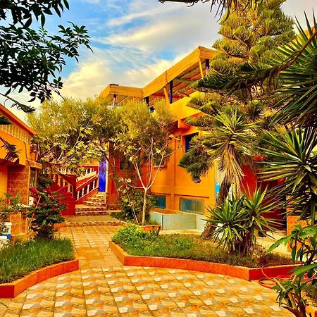 Surf & Salsa Ocean House Panzió Tamraght Kültér fotó